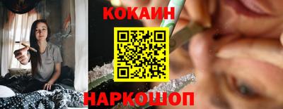 шишки Можга