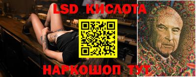 шишки Можга
