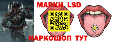 шишки Можга