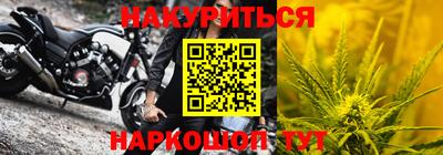 шишки Можга