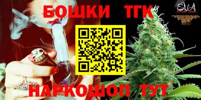 шишки Можга