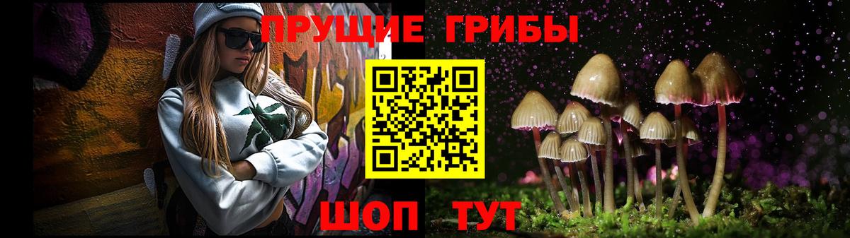 Строитель  Псилоцибиновые грибы мицелий  Вход с VPN 